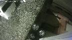 yotec3-20250530203029.jpg