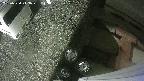 yotec3-20250530213029.jpg