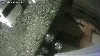 yotec3-20250530221028.jpg