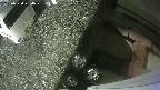 yotec3-20250530234029.jpg