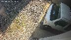yotec3-20250711171028.jpg