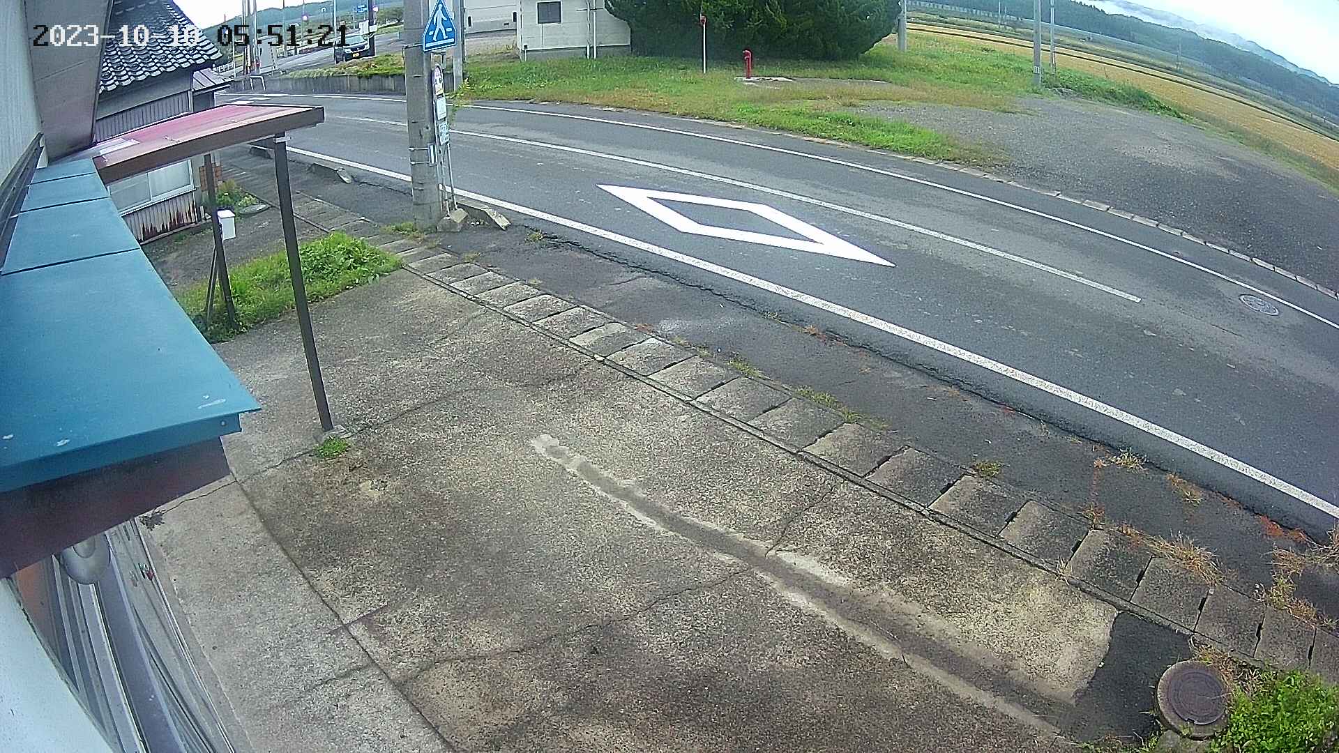 yotec4-20231010055123.jpg