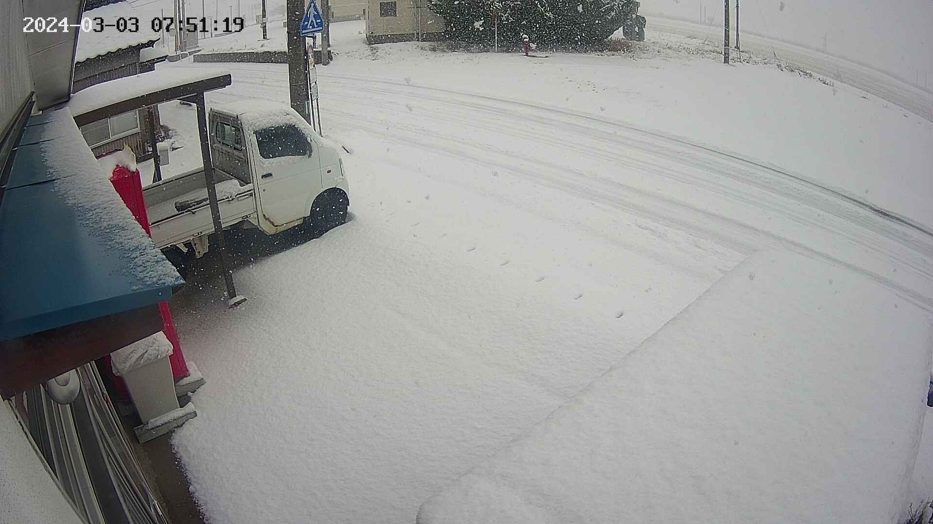 yotec4-20240303075120.jpg
