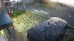 yotec4-20240909045121.jpg