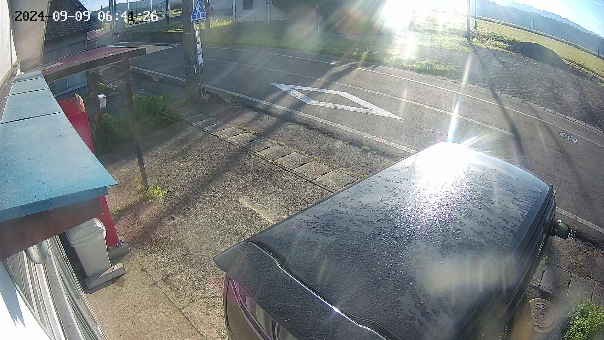 yotec4-20240909064126.jpg