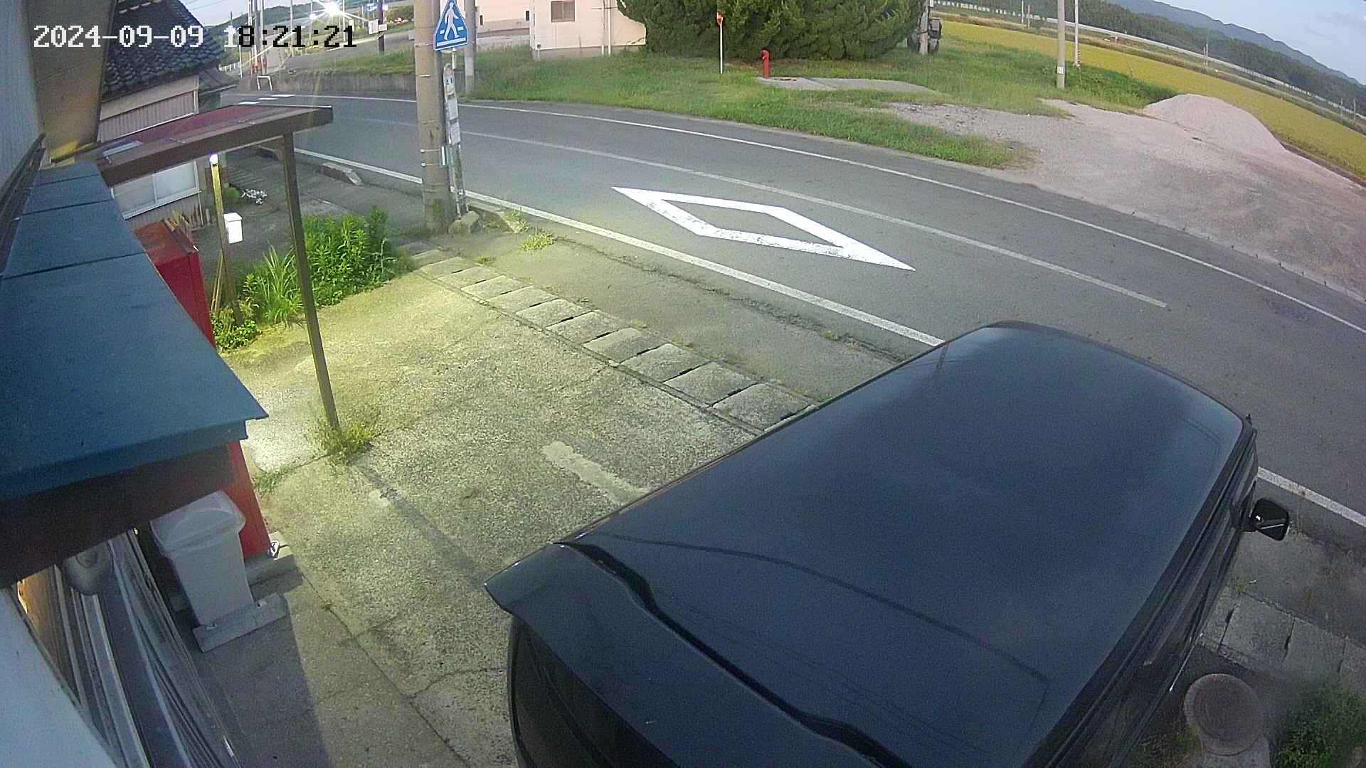 yotec4-20240909182121.jpg