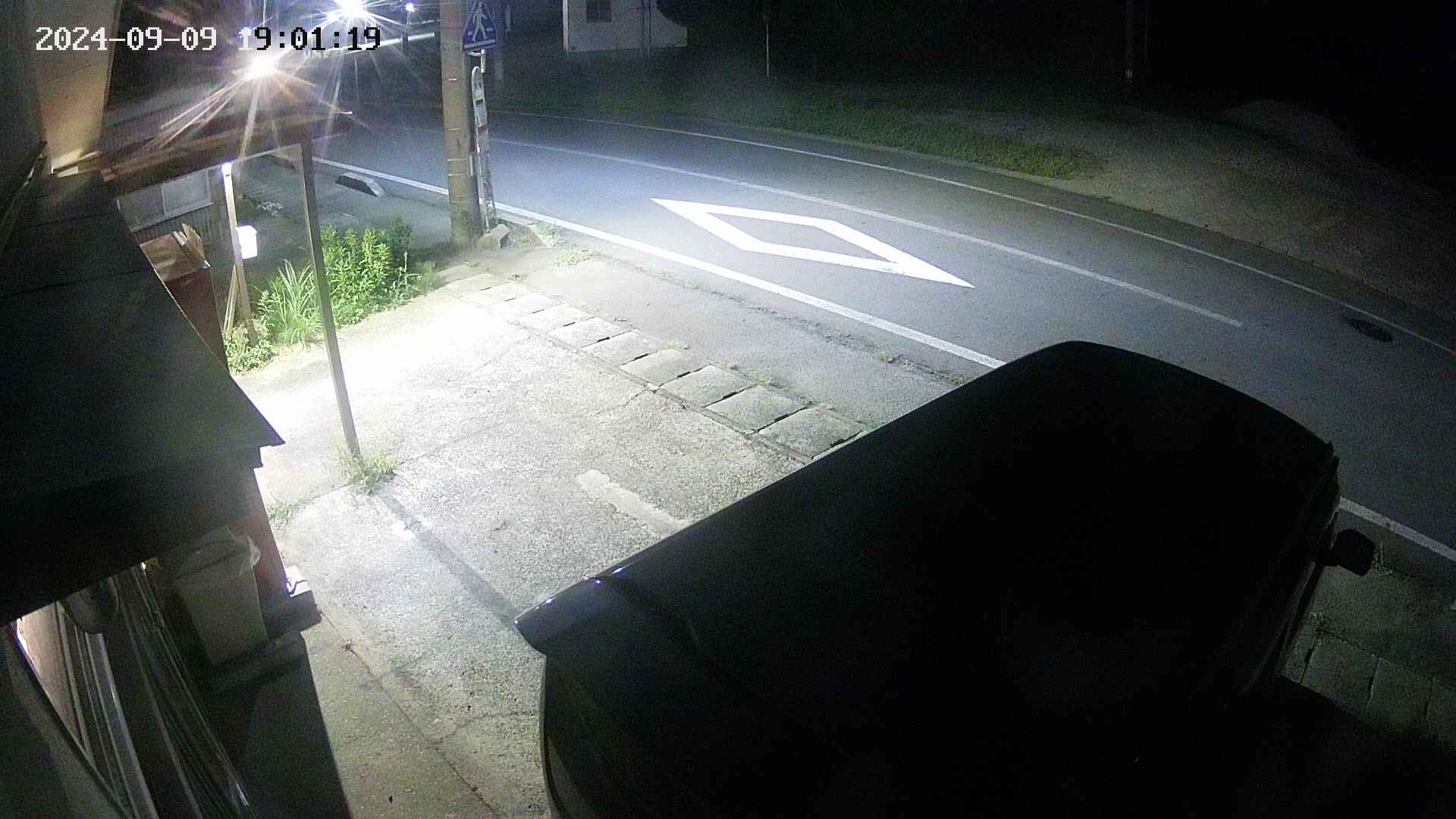 yotec4-20240909190119.jpg