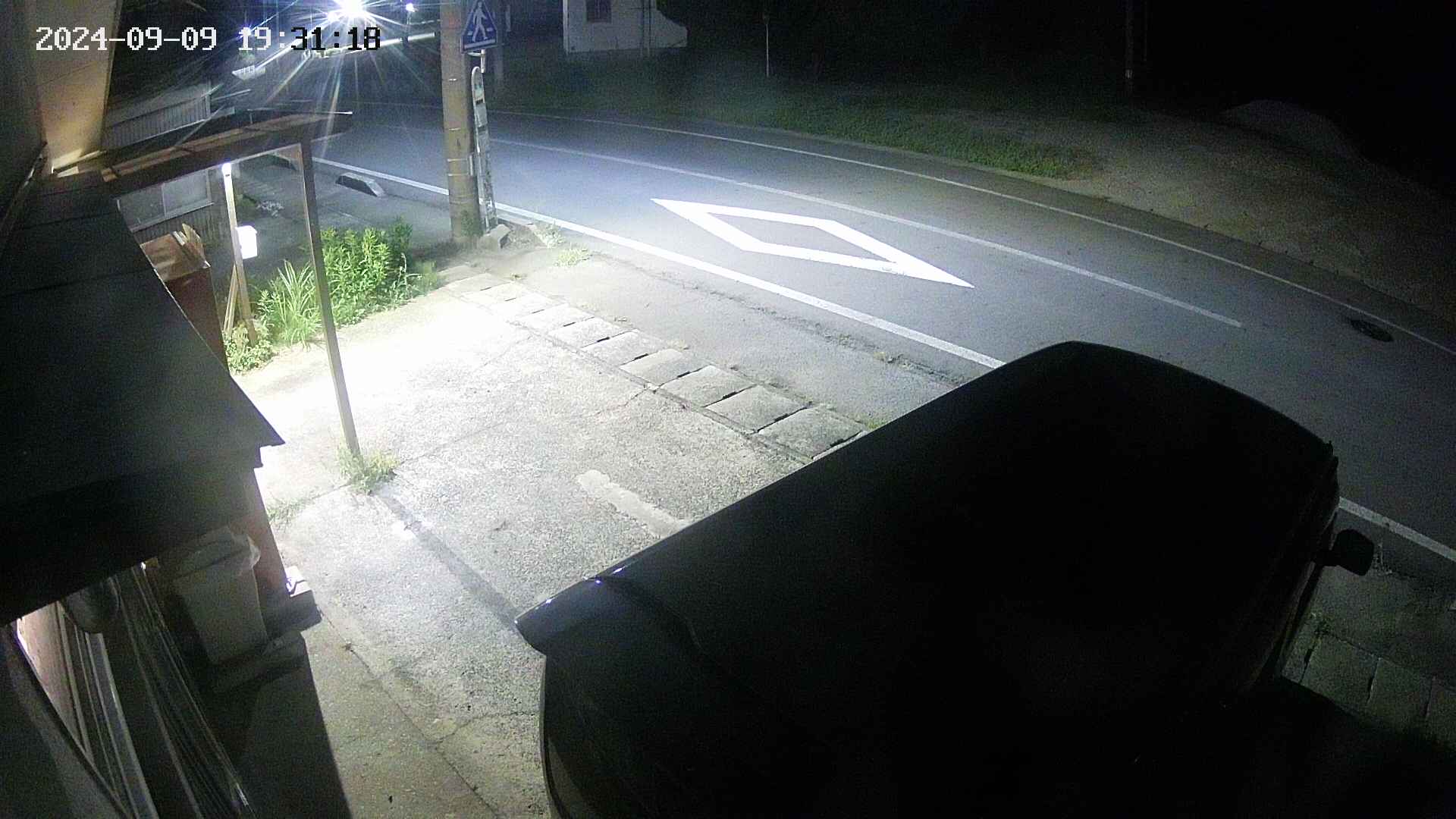 yotec4-20240909193119.jpg