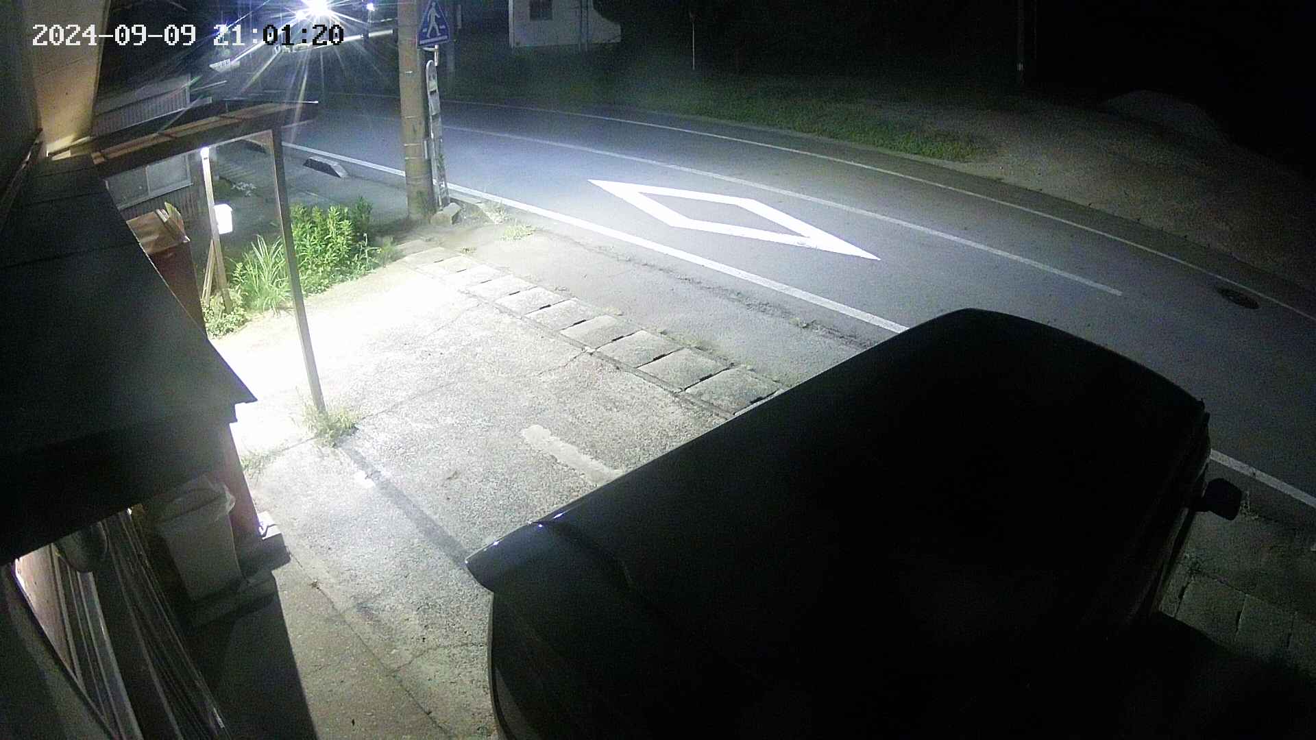 yotec4-20240909210120.jpg