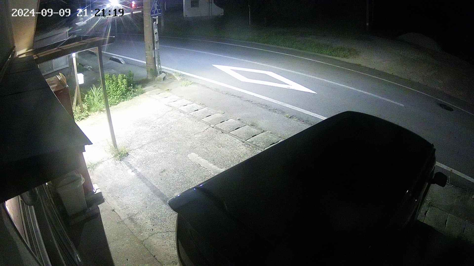 yotec4-20240909212120.jpg