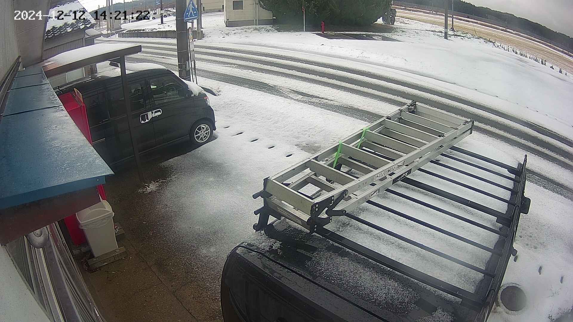 yotec4-20241212142123.jpg