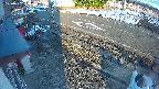 yotec4-20250202162123.jpg