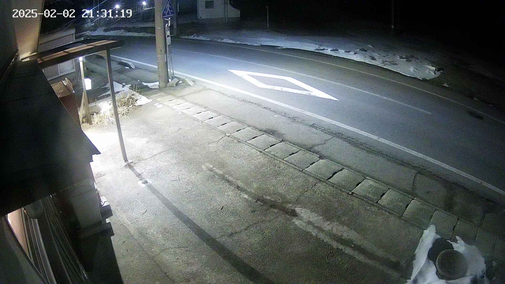 yotec4-20250202213120.jpg