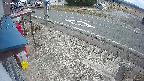 yotec4-20250303120123.jpg