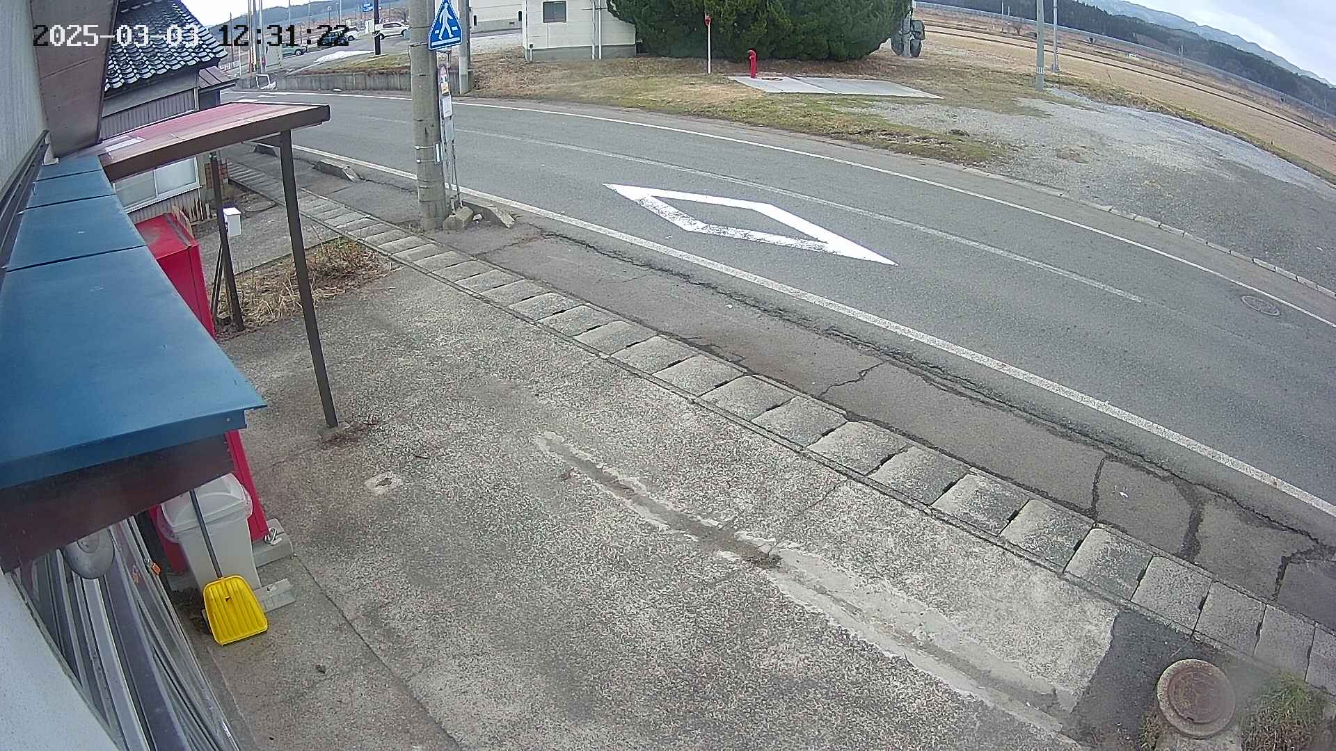 yotec4-20250303123123.jpg