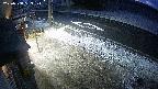 yotec4-20250308053122.jpg