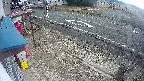 yotec4-20250308083126.jpg