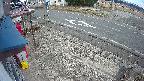 yotec4-20250309143126.jpg