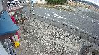 yotec4-20250309153123.jpg