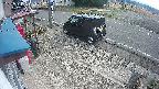 yotec4-20250327091123.jpg