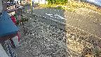 yotec4-20250329170127.jpg