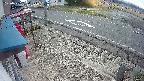 yotec4-20250331060123.jpg
