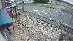 yotec4-20250331062126.jpg