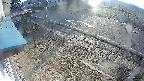 yotec4-20250405064124.jpg