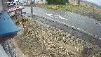yotec4-20250406141124.jpg