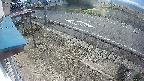 yotec4-20250407073126.jpg