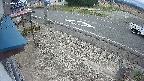 yotec4-20250407151126.jpg