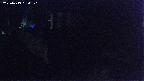 yotec4-20250419034121.jpg