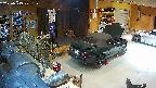 yotec4-20250519201123.jpg