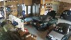 yotec4-20250605185120.jpg
