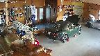 yotec4-20250613181124.jpg