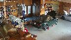 yotec4-20250613183129.jpg