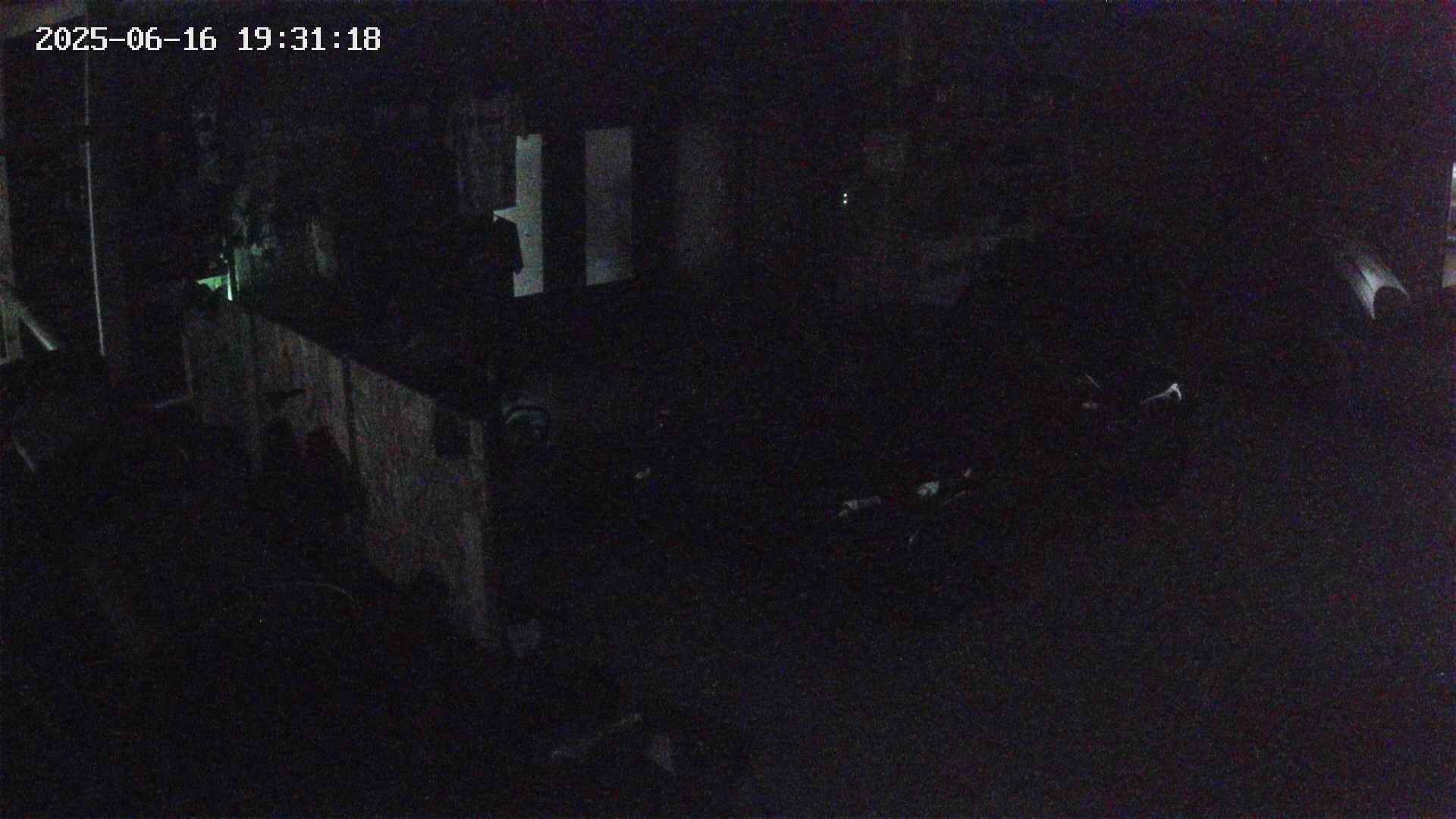 yotec4-20250616193119.jpg