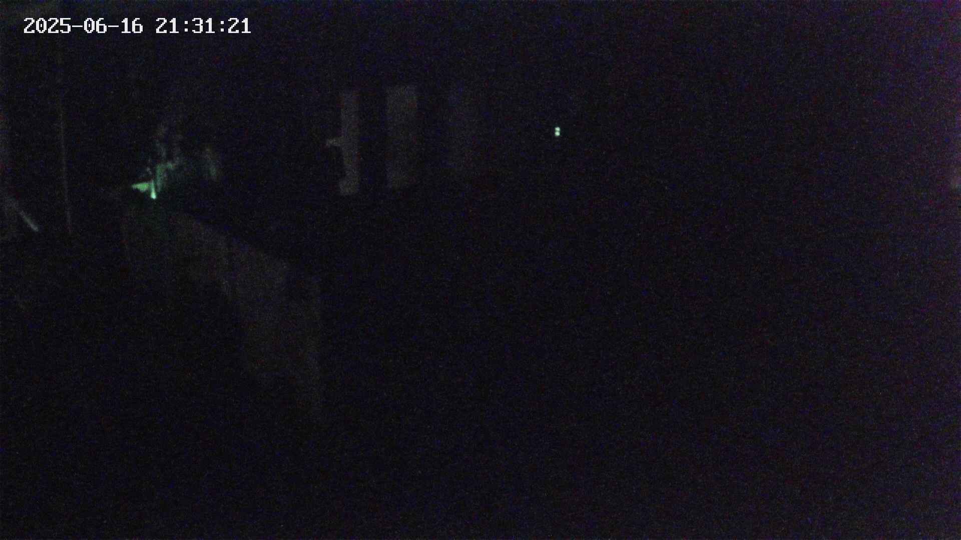 yotec4-20250616213122.jpg