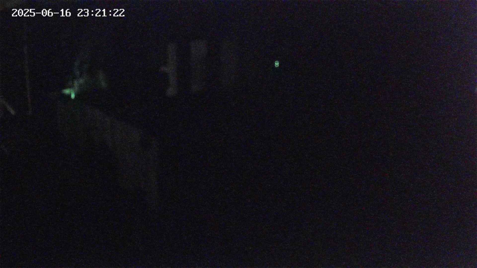yotec4-20250616232123.jpg