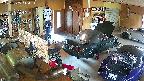 yotec4-20250705144121.jpg