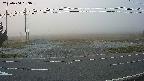 yotec5-20230404053056.jpg