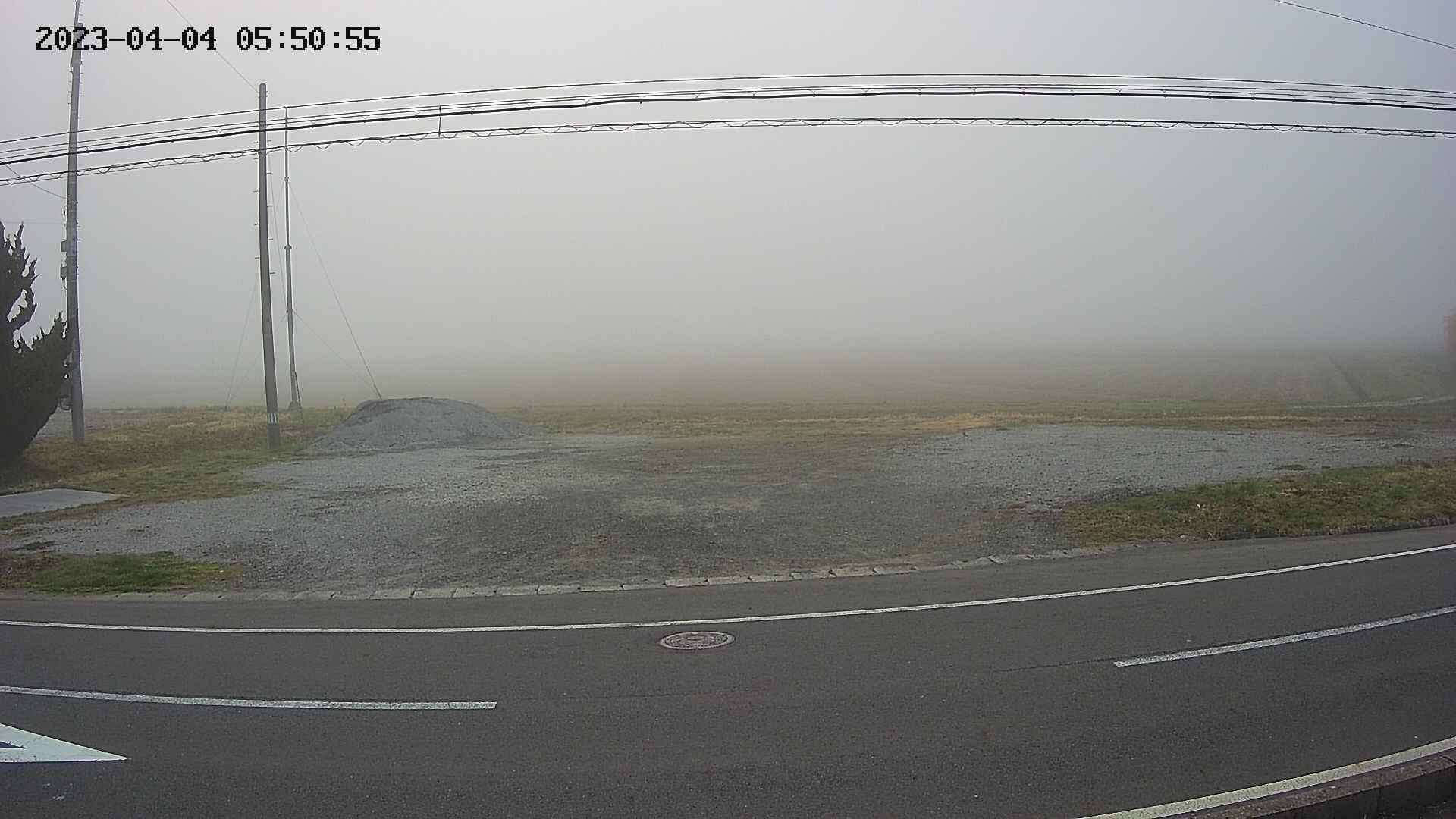yotec5-20230404055056.jpg