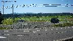 yotec5-20230606085056.jpg