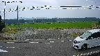 yotec5-20230707082056.jpg