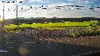 yotec5-20230808054055.jpg