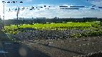 yotec5-20230808060055.jpg