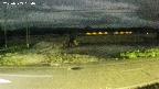 yotec5-20230909184054.jpg