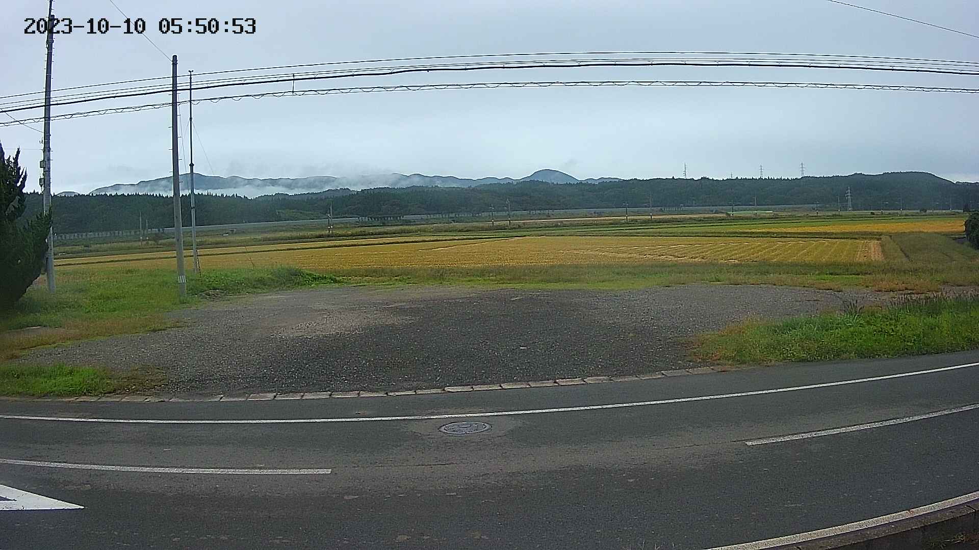 yotec5-20231010055055.jpg