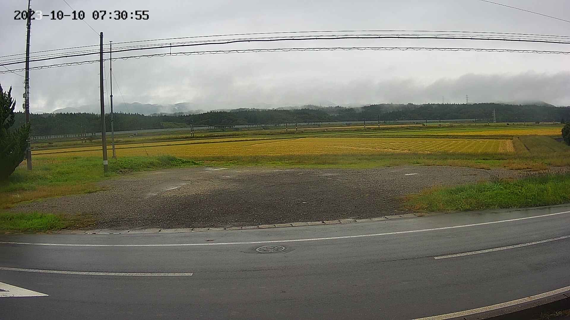 yotec5-20231010073056.jpg