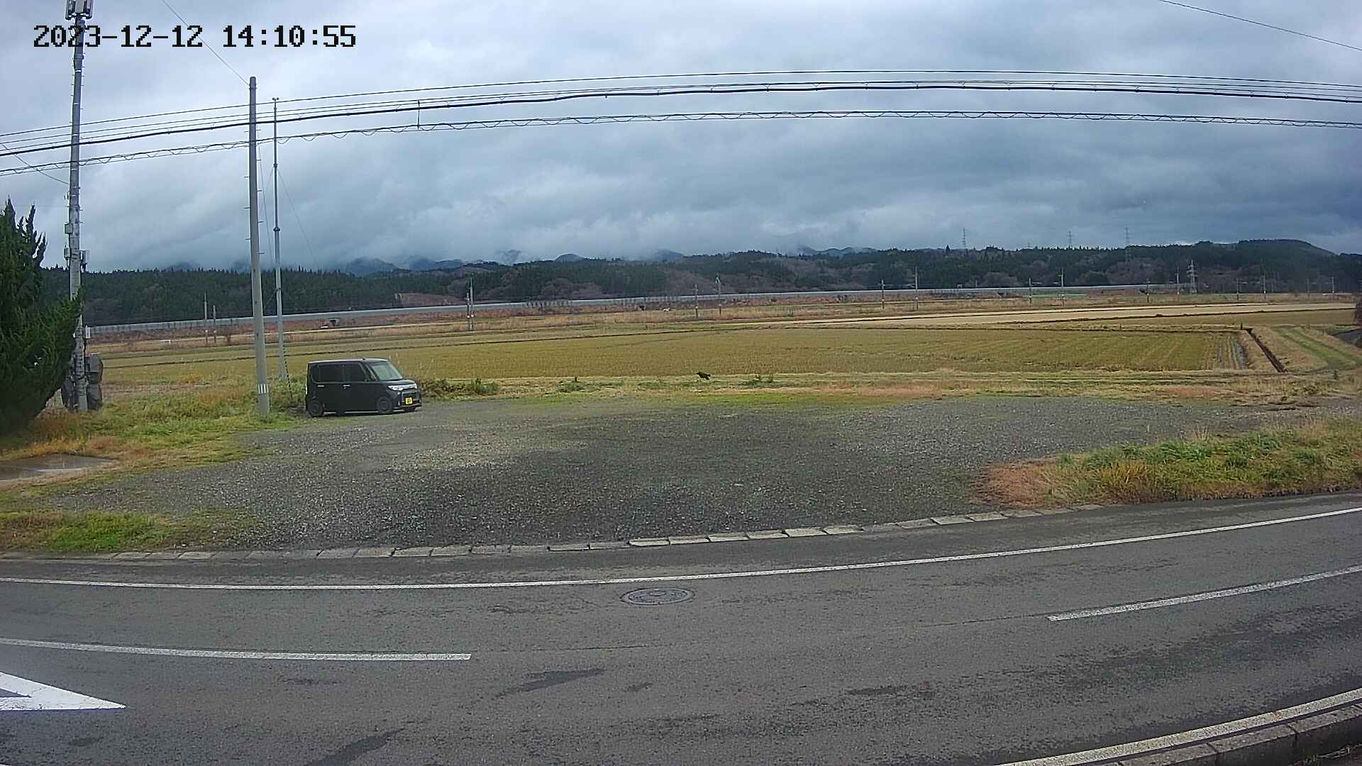 yotec5-20231212141057.jpg
